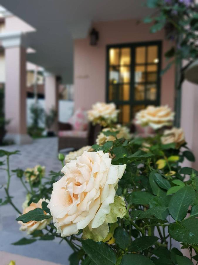 Hotel Rosy 치앙마이 외부 사진